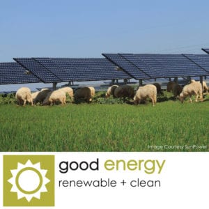 Good Energy_The Five Goods